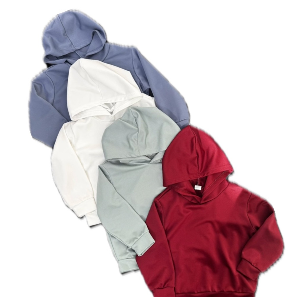 4T Toddler Hoodie Bundle Neutral Lightweight Pullover Set Blue Red White Green